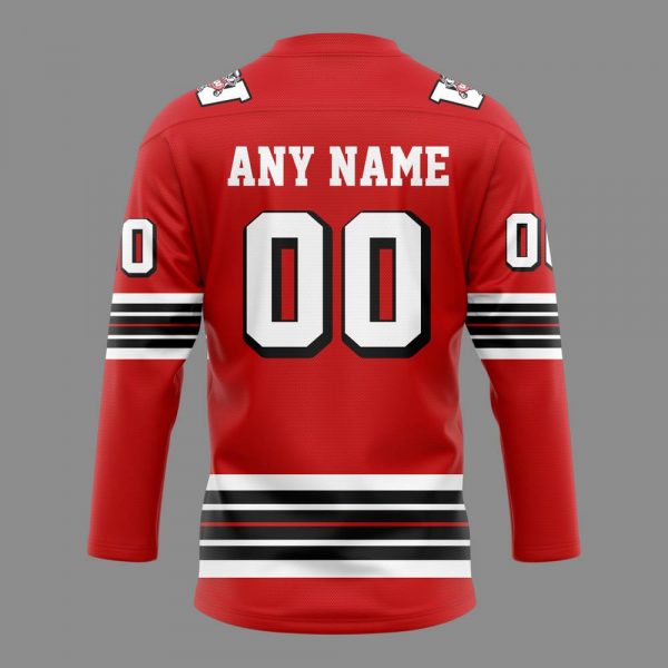 Wisconsin Badgers 2025 Frozen Confines Hockey Jersey